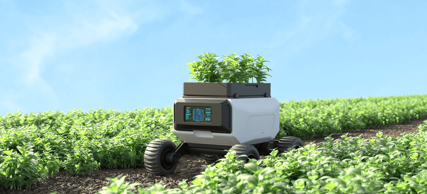 Smart IoT connected farming robot collected plans and is driving through the green field of plants