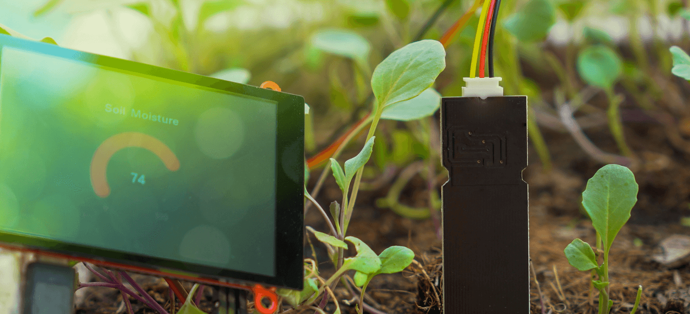 On the picture you can see an IoT sensor connected to the soil around the green plants - it is connected to the screen with the text "soil moisture" on the level 74%
