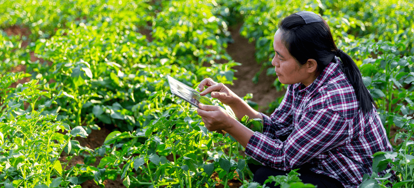 Lady in the green farm field using IoT Smart device in her Smart Farming work